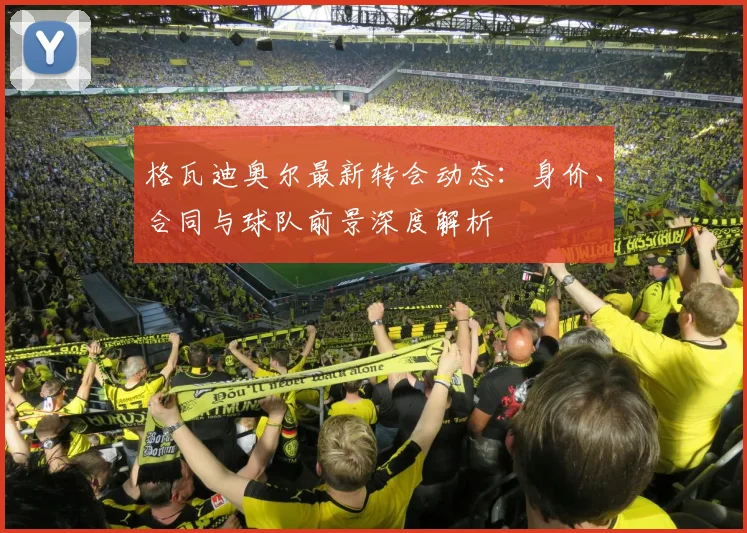 格瓦迪奥尔最新转会动态：身价、合同与球队前景深度解析